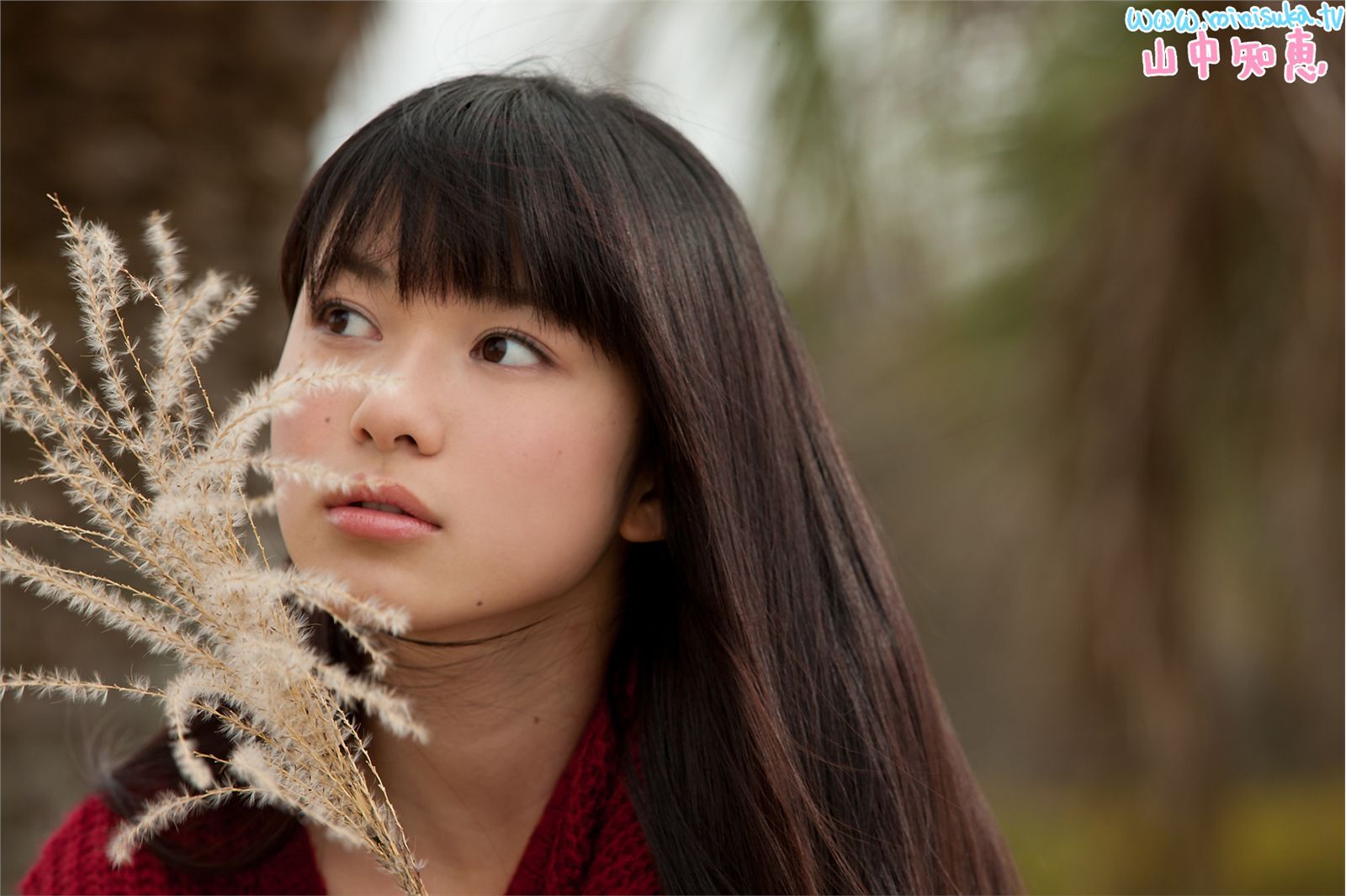 山中知恵 Tomoe Yamanaka [Minisuka.tv]现役女子高生